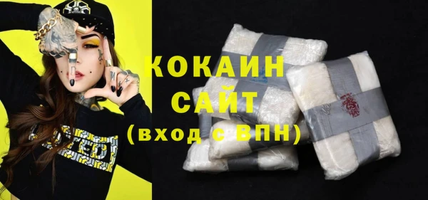 гашик Нея