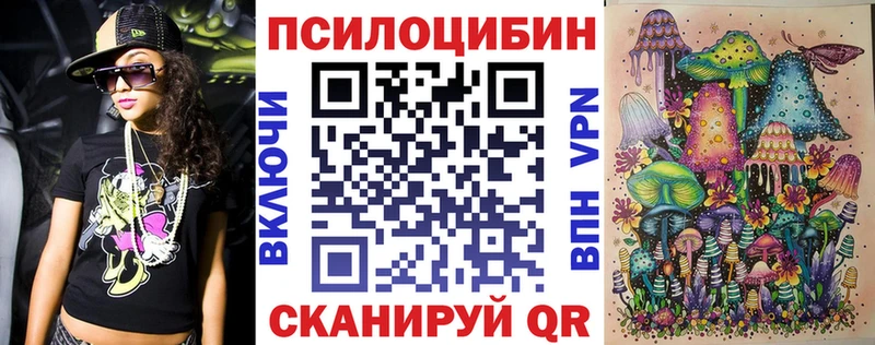 наркота  Дятьково  Галлюциногенные грибы Psilocybine cubensis 