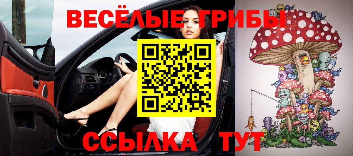 Псилоцибиновые грибы MAGIC MUSHROOMS Дятьково