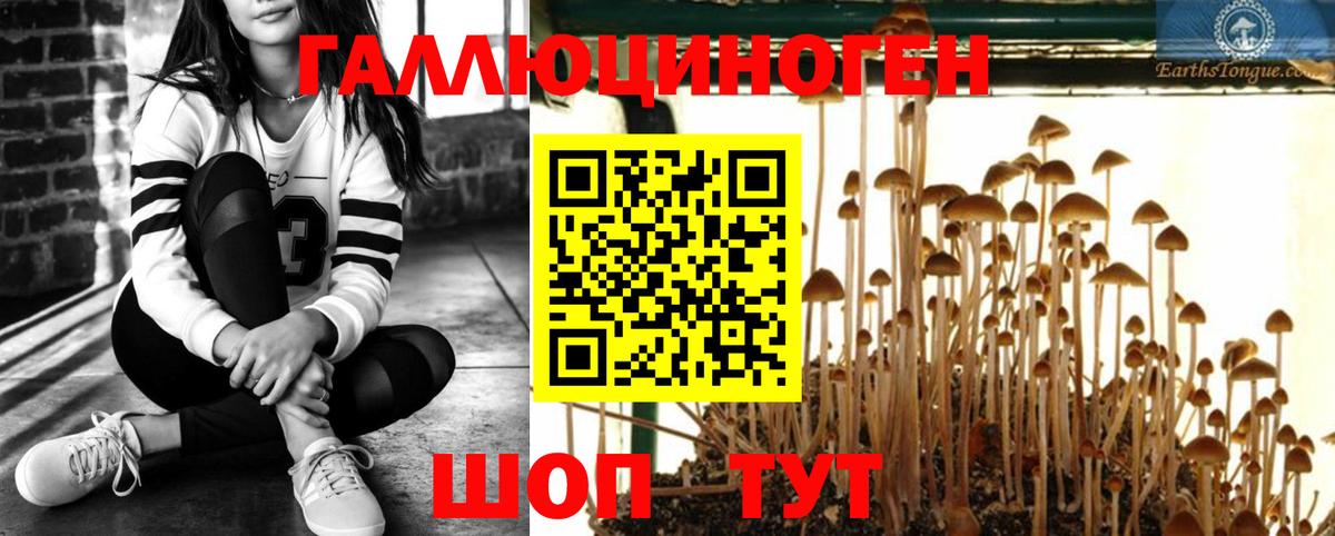 Меф Дятьково