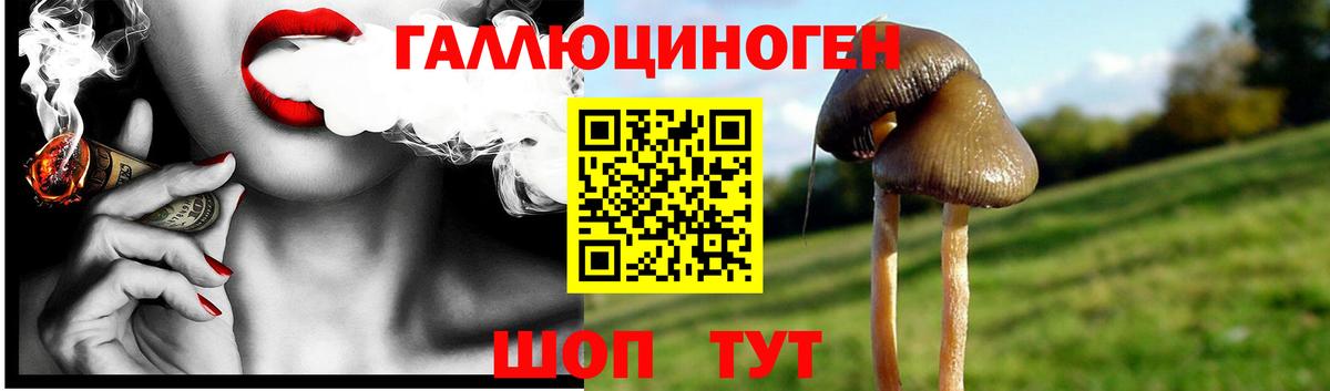 Дятьково  Псилоцибиновые грибы прущие грибы  Вход с VPN 
